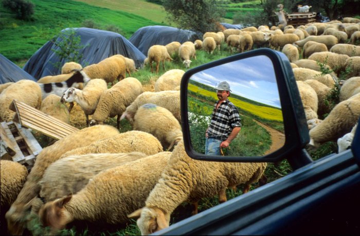 Vida rural en Cataluña